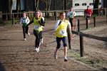 Deurne091213020150_small.jpg (3946 Byte)