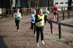 Deurne091213020152_small.jpg (3932 Byte)