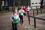 Deurne091213020156_small.jpg (3932 Byte)