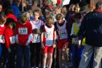 Deurne091213020177_small.jpg (3698 Byte)