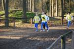 Deurne091213020184_small.jpg (3932 Byte)