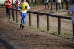 Deurne091213020253_small.jpg (3698 Byte)