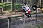 Deurne091213030208_small.jpg (3932 Byte)