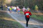 Deurne091213040206_small.jpg (3946 Byte)