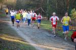 Deurne091213040207_small.jpg (3857 Byte)