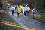 Deurne091213040208_small.jpg (3932 Byte)