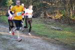 Deurne091213040220_small.jpg (3932 Byte)