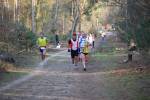 Deurne091213040352_small.jpg (3932 Byte)