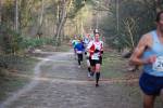 Deurne091213050022_small.jpg (3946 Byte)