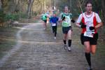 Deurne091213050023_small.jpg (3857 Byte)