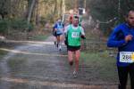 Deurne091213050028_small.jpg (3932 Byte)