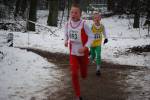 Venray100131030081_small.jpg (3698 Byte)