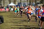 Hellendoorn100307050316_small.jpg (3932 Byte)