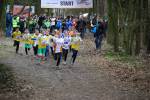 Veghel100314020330_small.jpg (3946 Byte)