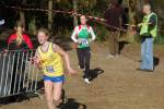 IronMan101031020067_small.jpg (3857 Byte)