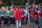 IronMan101031020106_small.jpg (3946 Byte)