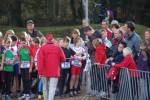 IronMan101031020108_small.jpg (3932 Byte)