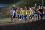 IronMan101031020110_small.jpg (3946 Byte)