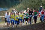 IronMan101031020111_small.jpg (3857 Byte)