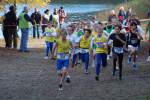 IronMan101031020113_small.jpg (3698 Byte)