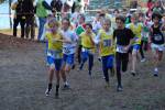 IronMan101031020115_small.jpg (3857 Byte)