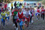 IronMan101031020118_small.jpg (3946 Byte)