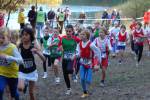 IronMan101031020119_small.jpg (3857 Byte)