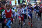 IronMan101031020120_small.jpg (3932 Byte)