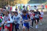 IronMan101031020122_small.jpg (3946 Byte)