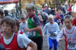 IronMan101031020125_small.jpg (3698 Byte)