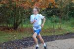 IronMan101031020130_small.jpg (3946 Byte)