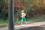 IronMan101031020131_small.jpg (3857 Byte)