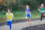 IronMan101031020136_small.jpg (3932 Byte)