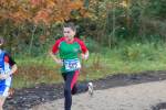 IronMan101031020137_small.jpg (3698 Byte)