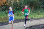 IronMan101031020138_small.jpg (3946 Byte)