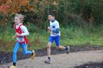 IronMan101031020141_small.jpg (3698 Byte)