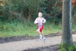 IronMan101031020157_small.jpg (3698 Byte)