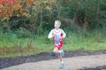 IronMan101031020158_small.jpg (3946 Byte)