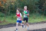 IronMan101031020163_small.jpg (3857 Byte)