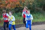 IronMan101031020167_small.jpg (3857 Byte)