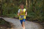 IronMan101031020182_small.jpg (3946 Byte)