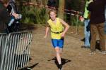 IronMan101031020192_small.jpg (3932 Byte)