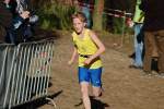 IronMan101031020193_small.jpg (3698 Byte)