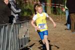 IronMan101031020199_small.jpg (3857 Byte)