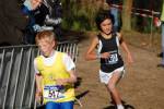 IronMan101031020100_small.jpg (3932 Byte)