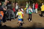 IronMan101031020388_small.jpg (3932 Byte)