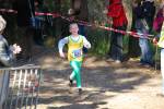 IronMan101031030139_small.jpg (3857 Byte)