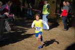 IronMan101031030142_small.jpg (3946 Byte)