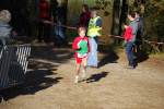 IronMan101031030158_small.jpg (3946 Byte)