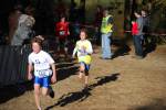 IronMan101031030166_small.jpg (3946 Byte)